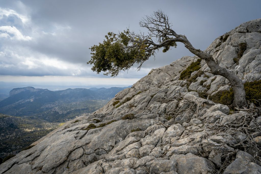 Was ist das Geheimnis von Resilienz?